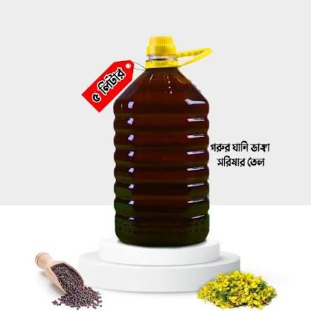 masterdoil